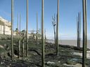 Après la tempête